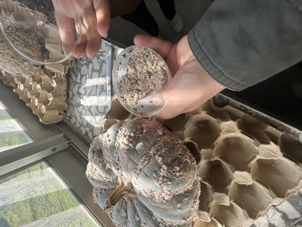 آموزش عملی تولید عوامل بیولوژیک برای بانوان فعال و زنان روستایی