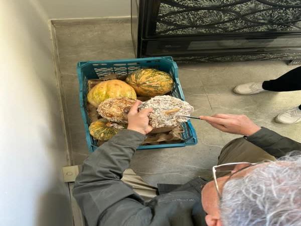 آموزش عملی تولید عوامل بیولوژیک برای بانوان فعال و زنان روستایی آموزش عملی تولید عوامل بیولوژیک برای بانوان فعال و زنان روستایی