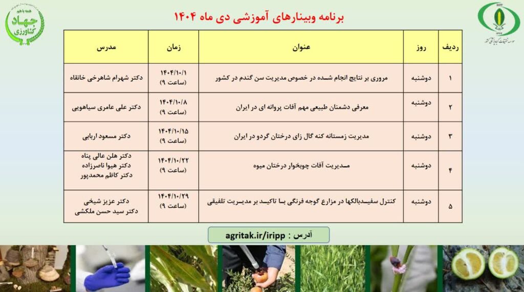 برنامه وبینارهای آموزشی دیماه ۱۴۰۴ موسسه تحقیقات گیاهپزشکی کشور برنامه وبینارهای آموزشی دیماه ۱۴۰۴ موسسه تحقیقات گیاهپزشکی کشور