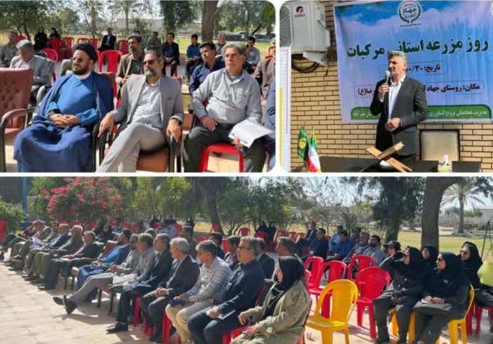 برگزاری روز مزرعه استانی مرکبات برای مقابله با زوال و سرمازدگی برگزاری روز مزرعه استانی مرکبات برای مقابله با زوال و سرمازدگی