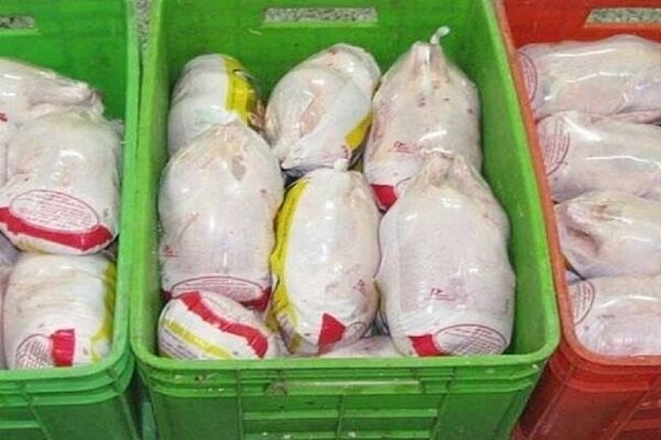 خودکفایی در تولید مرغ؛ غفلت از ترویج مصرف آبزیان در خراسان رضوی خودکفایی در تولید مرغ؛ غفلت از ترویج مصرف آبزیان در خراسان رضوی