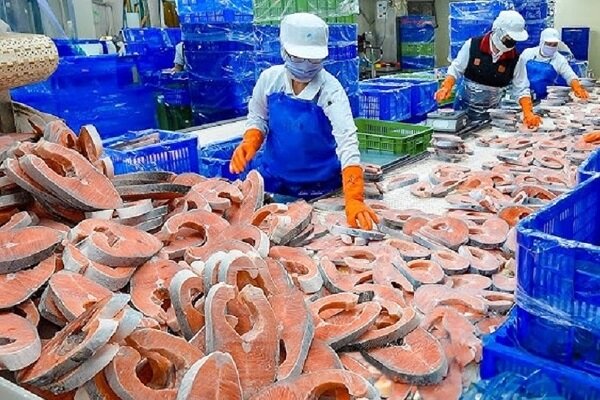 خودکفایی در تولید مرغ؛ غفلت از ترویج مصرف آبزیان در خراسان رضوی خودکفایی در تولید مرغ؛ غفلت از ترویج مصرف آبزیان در خراسان رضوی