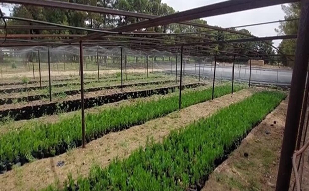 چالش خشکسالی در طرح ملی کاشت یک میلیارد درخت؛ «پساب» به کمک میآید چالش خشکسالی در طرح ملی کاشت یک میلیارد درخت؛ «پساب» به کمک میآید