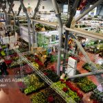 ۶۰ هزار اصله گل و گیاه زینتی از آمل به عراق صادر شد