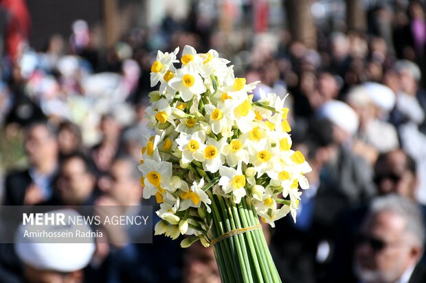 ادب فارسی و گلهایی که آن را آراستهاند؛ کدام گل در ادب فارسی «گل» است ادب فارسی و گلهایی که آن را آراستهاند؛ کدام گل در ادب فارسی «گل» است