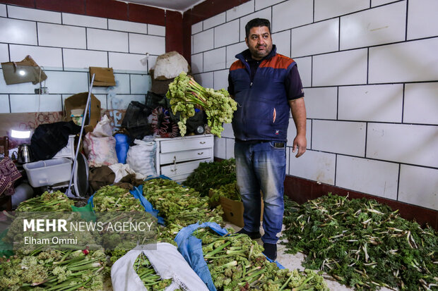 بهار سبز سنندج؛ از کوه تا بازار،روایت رونق گیاهان خوراکی و اشتغال محلی بهار سبز سنندج؛ از کوه تا بازار،روایت رونق گیاهان خوراکی و اشتغال محلی