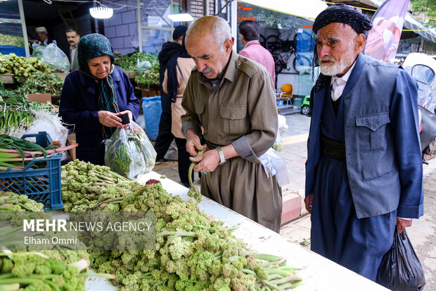 بهار سبز سنندج؛ از کوه تا بازار،روایت رونق گیاهان خوراکی و اشتغال محلی بهار سبز سنندج؛ از کوه تا بازار،روایت رونق گیاهان خوراکی و اشتغال محلی