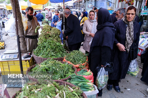 بهار سبز سنندج؛ از کوه تا بازار،روایت رونق گیاهان خوراکی و اشتغال محلی بهار سبز سنندج؛ از کوه تا بازار،روایت رونق گیاهان خوراکی و اشتغال محلی