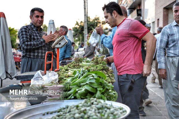 بهار سبز سنندج؛ از کوه تا بازار،روایت رونق گیاهان خوراکی و اشتغال محلی بهار سبز سنندج؛ از کوه تا بازار،روایت رونق گیاهان خوراکی و اشتغال محلی