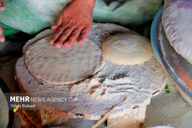 عشایر ایلام در خط مقدم تولید؛ زیرساختها نیازمند انتظار حمایت ملی عشایر ایلام در خط مقدم تولید؛ زیرساختها نیازمند انتظار حمایت ملی