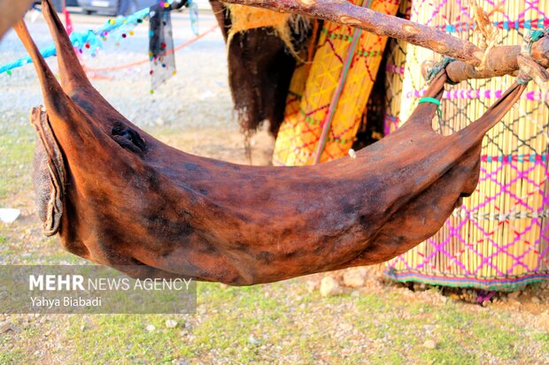 عشایر ایلام در خط مقدم تولید؛ زیرساختها نیازمند انتظار حمایت ملی عشایر ایلام در خط مقدم تولید؛ زیرساختها نیازمند انتظار حمایت ملی