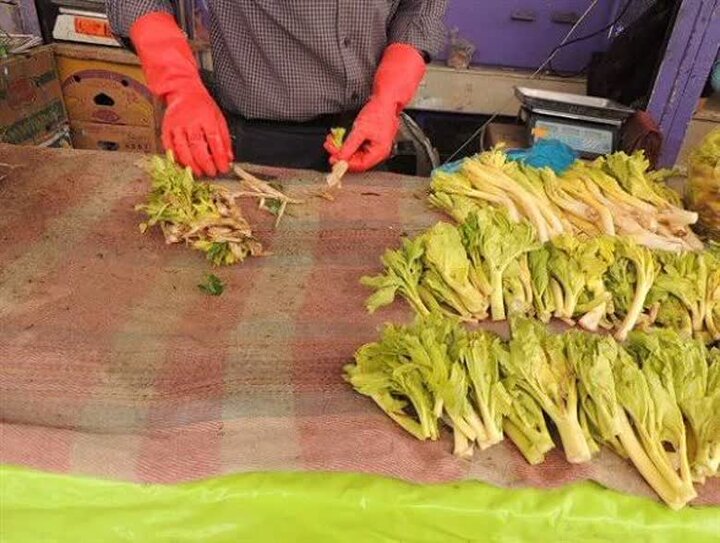 «کلوس»؛ گیاه گرانبهای برفزاد چهارمحالوبختیاری «کلوس»؛ گیاه گرانبهای برفزاد چهارمحالوبختیاری