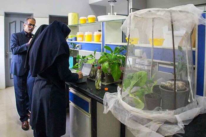 ارزیابی توان شکارگری سن شکارگر ماکرولوفوس علیه کنه چای ارزیابی توان شکارگری سن شکارگر ماکرولوفوس علیه کنه چای