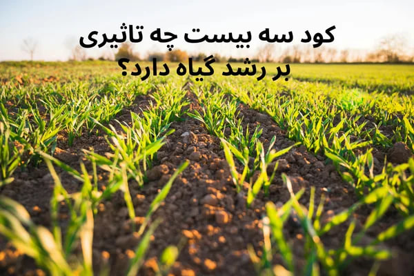 کود سه بیست (20-20-20) برای چه گیاهانی مناسب است؟ تصویری از باغ سرسبز و شاداب