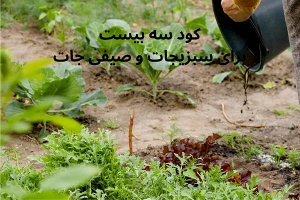 کود سه بیست (20-20-20) برای چه گیاهانی مناسب است؟ تصویری از سبزیجات تازه بعد از کوددهی