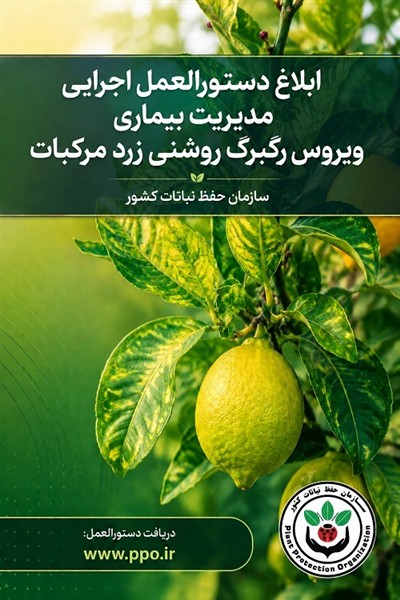 دستورالعمل اجرایی مدیریت بیماری ویروس رگبرگ روشنی زرد مرکبات دستورالعمل اجرایی مدیریت بیماری ویروس رگبرگ روشنی زرد مرکبات