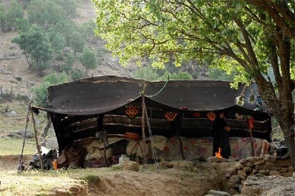 عشایر میان کوچ و بروکراسی؛ قوانین دستوپاگیر بر سر راه زندگی عشایر میان کوچ و بروکراسی؛ قوانین دستوپاگیر بر سر راه زندگی