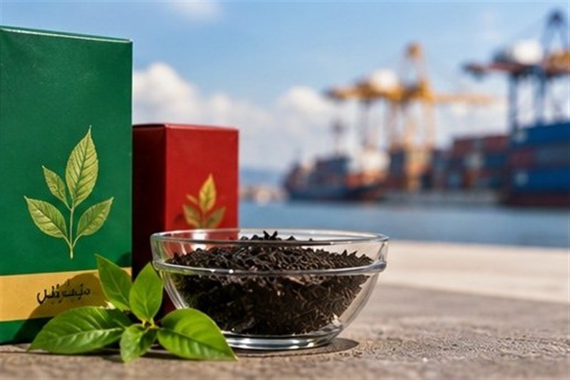 چای ایرانی؛ محصولی که در باغ تولید میشود اما روی آنتن دیده نمیشود اخبار رشت , نظام مسائل استان گیلان , اخبار استان گیلان , چای , کشاورزی , سال حمایت از کالای ایرانی , اخبار لاهیجان ,