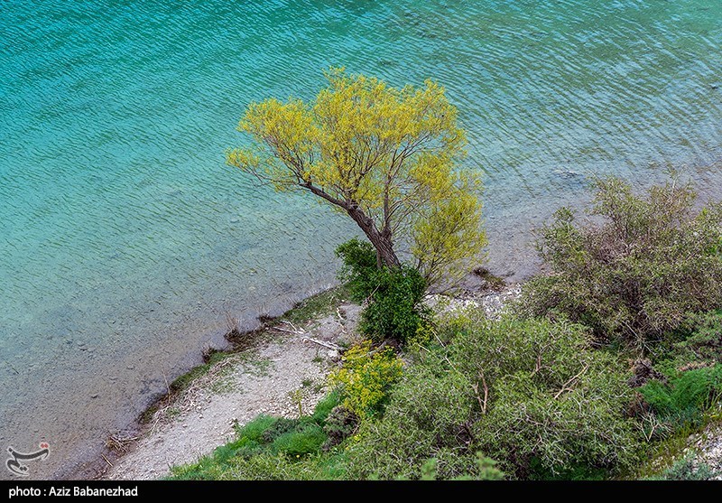 چرا دریاچه افسانهای لرستان به ثبت رامسر رسید؟ استان لرستان , اخبار استان لرستان , اخبار خرمآباد ,