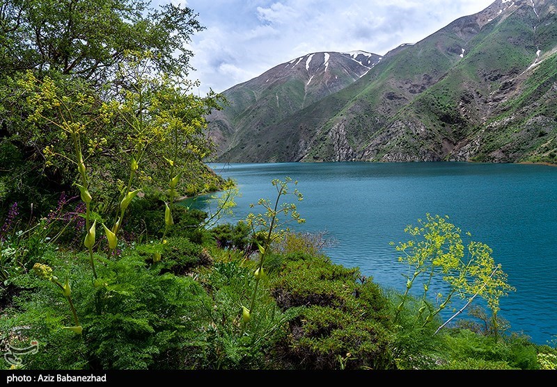 چرا دریاچه افسانهای لرستان به ثبت رامسر رسید؟ استان لرستان , اخبار استان لرستان , اخبار خرمآباد ,
