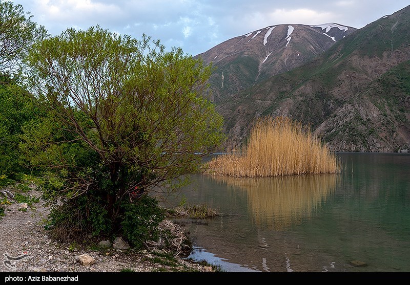 چرا دریاچه افسانهای لرستان به ثبت رامسر رسید؟ استان لرستان , اخبار استان لرستان , اخبار خرمآباد ,